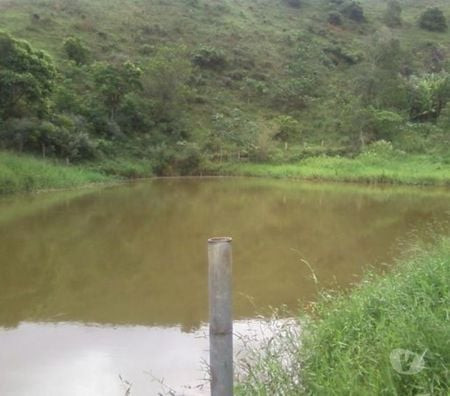 sitio-de-637-hectares-no-bairro-do-pinheirinho-ta-sao-paulo-oportunidade-unica-r-330000000-r-330000000-big-4