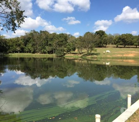 espetacular-sitioporteira-fechada-c-6-alqueiresm-sao-paulo-oportunidade-unica-big-2