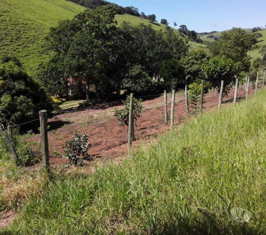 otimo-sitio-de-2-alqueires-em-sao-luiz-do-paraiti-em-sao-paulo-melhor-preco-da-regiao-com-condicoes-especiais-r-50000000-r-50000000-garantia-big-3