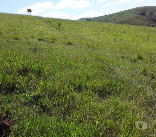 otimo-sitio-de-2-alqueires-em-sao-luiz-do-paraiti-em-sao-paulo-melhor-preco-da-regiao-com-condicoes-especiais-r-50000000-r-50000000-garantia-big-2