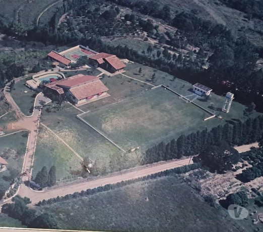 em-sao-paulo-conservado-oportunidade-unica-big-3