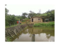 excelente-sitio-de-637-hectares-a-85-km-de-taub-melhor-oferta-sao-paulo-r-330000000-r-330000000-negociavel-small-2