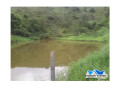 excelente-sitio-de-637-hectares-a-85-km-de-taub-melhor-oferta-sao-paulo-r-330000000-r-330000000-negociavel-small-3