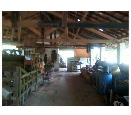 excelente-sitio-de-637-hectares-a-85-km-de-taub-melhor-oferta-sao-paulo-r-330000000-r-330000000-negociavel-big-4