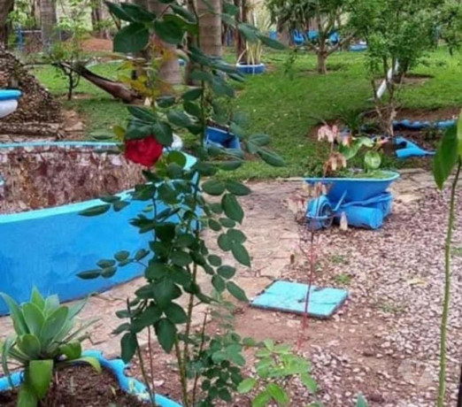 novidade-em-sao-paulo-localizacao-privilegiada-r-328000000-r-328000000-negociavel-big-4