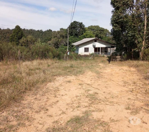 vendo-area-em-mandirituba-com-126671-contendo-04-em-paranamandirituba-qualidade-garantida-com-otimo-custo-beneficio-em-paranamandirituba-entrega-imediata-big-0