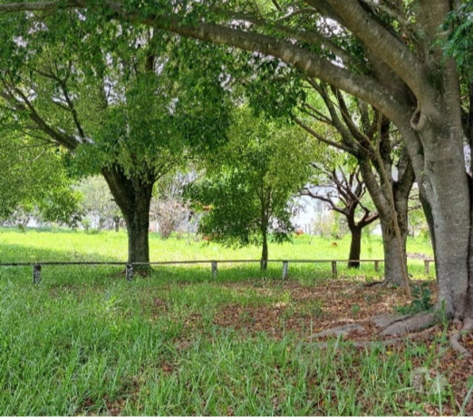 novidade-em-sao-paulo-posicao-privilegiada-privilegiada-entrega-imediata-big-2