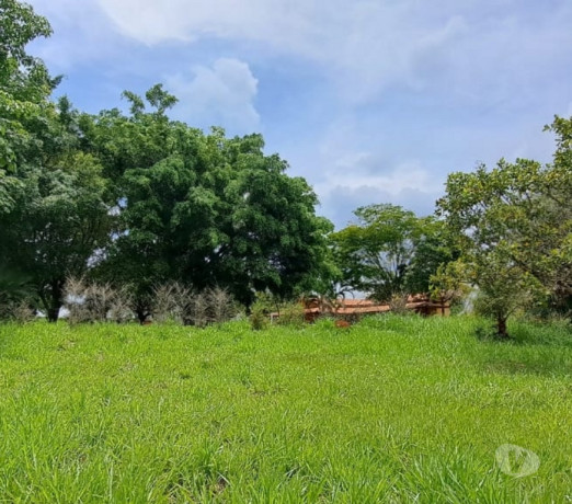 novidade-em-sao-paulo-posicao-privilegiada-privilegiada-entrega-imediata-big-4