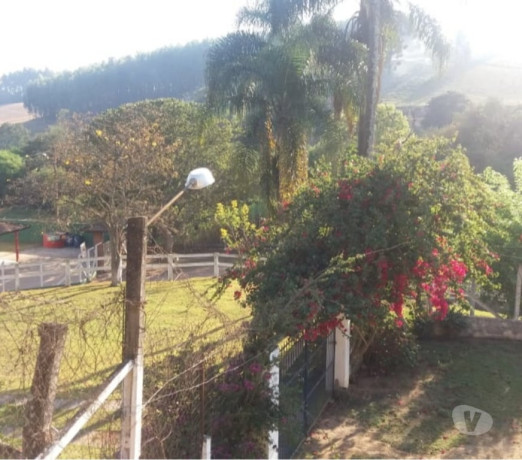 em-sao-paulo-conservado-r-69000000-r-69000000-big-3