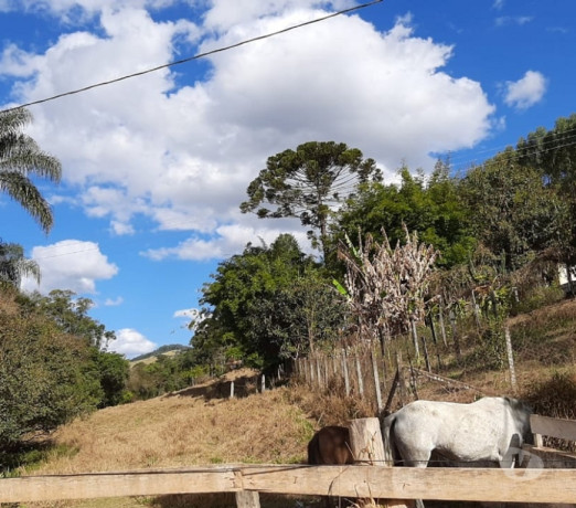 em-sao-paulo-conservado-r-69000000-r-69000000-big-1