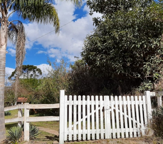 em-sao-paulo-conservado-r-69000000-r-69000000-big-4