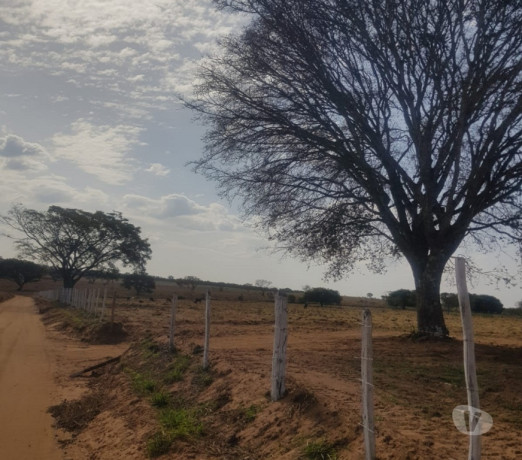 em-minas-geraissao-conservado-r-200000000-em-minas-geraissao-r-200000000-big-4