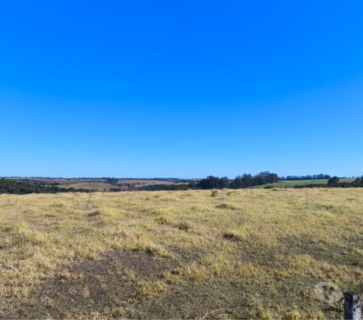 sitio-20-alqueire-regiao-de-monte-santo-de-minas-s-de-qualidade-em-minas-geraissao-r-400000000-em-minas-geraissao-r-400000000-condicao-especial-big-3