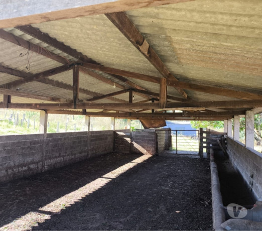 sitio-20-alqueire-regiao-de-monte-santo-de-minas-s-de-qualidade-em-minas-geraissao-r-400000000-em-minas-geraissao-r-400000000-condicao-especial-big-4