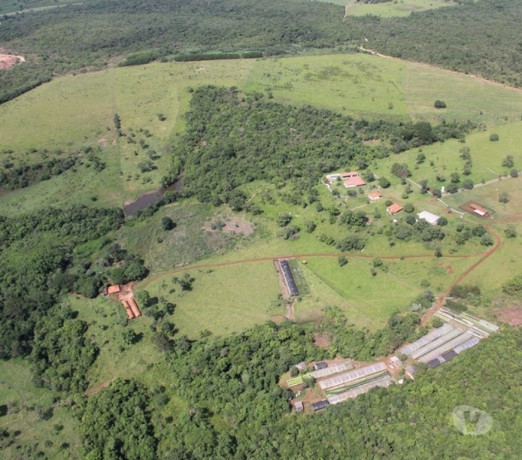 fazenda-10039-hectares-em-cajuru-sao-sebastiao-do-minas-geraissao-oportunidade-unica-r-1000000000-em-minas-geraissao-r-1000000000-negociavel-big-0