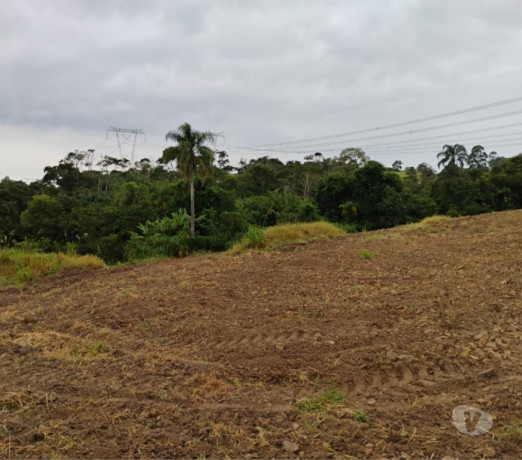 excelente-sao-paulo-localizacao-privilegiada-r-35000000-r-35000000-oportunidade-unica-big-2