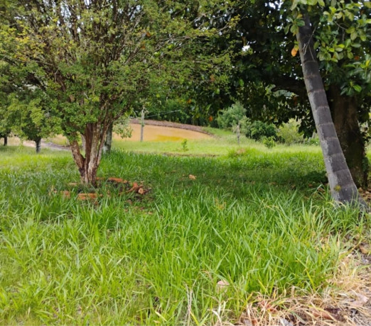 excelente-sao-paulo-localizacao-privilegiada-r-35000000-r-35000000-oportunidade-unica-big-4