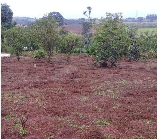 chacara-a-venda-em-piedade-piedade-sp-chacaras-e-sao-paulo-oportunidade-unica-big-3