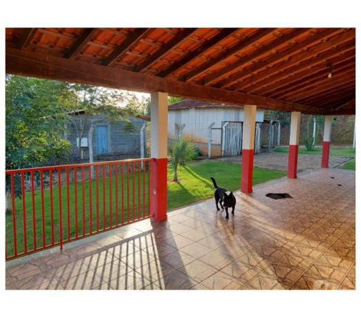 sitio-em-muzambinho-mg-sousa-muzambinho-mg-cha-em-minas-geraismuzambinho-atendimento-personalizado-e-especializado-em-minas-geraismuzambinho-condicao-especial-big-4