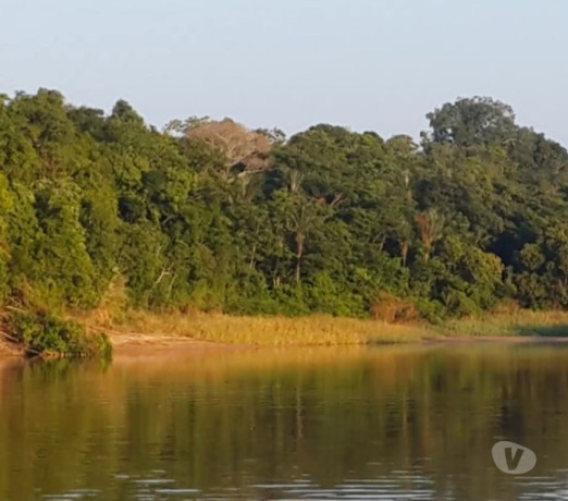 disponivel-amazonastefe-conservado-r-45000000-em-amazonastefe-r-45000000-big-0