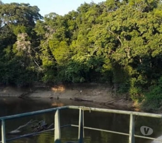 disponivel-amazonastefe-conservado-r-45000000-em-amazonastefe-r-45000000-big-1