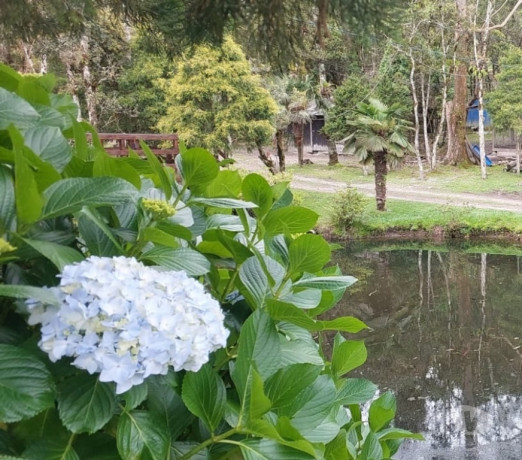 oportunidade-em-santa-catarinarancho-conservado-em-santa-catarinarancho-garantia-big-2