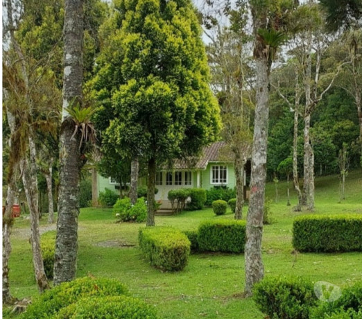 oportunidade-em-santa-catarinarancho-conservado-em-santa-catarinarancho-garantia-big-1