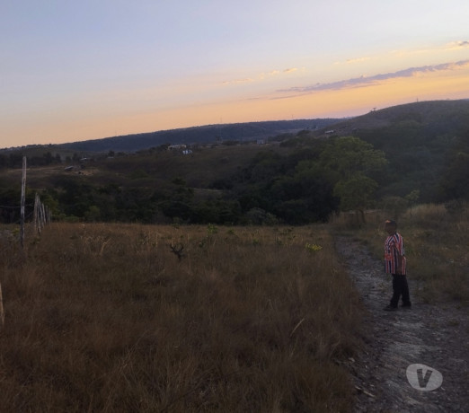 semi-novo-goiasaguas-lindas-otima-oportunidade-r-5000000-r-5000000-big-1