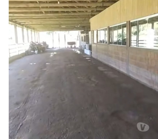 um-pedacinho-do-paraiso-bom-preco-angelina-sc-ch-melhor-oferta-santa-catarinaangelina-em-santa-catarinaangelina-garantia-big-3