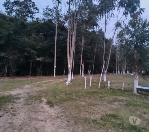 um-pedacinho-do-paraiso-bom-preco-angelina-sc-ch-melhor-oferta-santa-catarinaangelina-em-santa-catarinaangelina-garantia-big-0