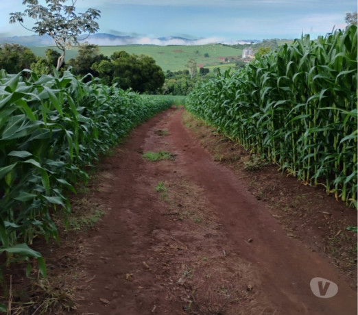 novidade-em-sao-paulo-area-nobre-privilegiada-big-2