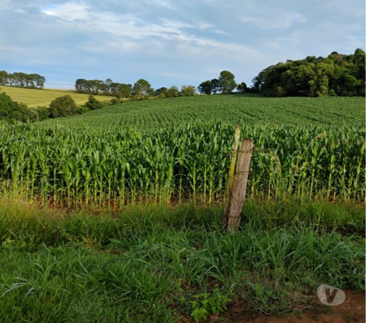 novidade-em-sao-paulo-area-nobre-privilegiada-big-0