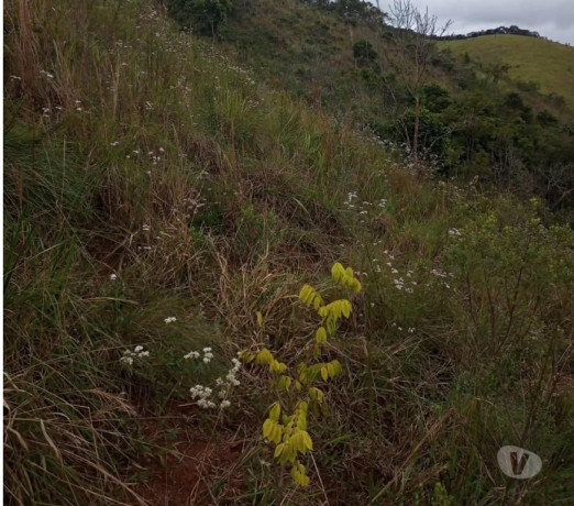 novidade-em-sao-paulo-localizacao-privilegiada-r-22000-r-22000-big-0