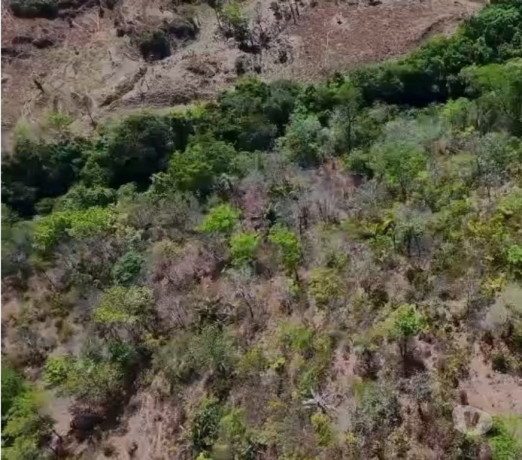 fazenda-a-oferta-171-hectares-povoado-sao-jose-goiascavalcante-oportunidade-unica-r-230000000-em-goiascavalcante-r-230000000-negociavel-big-3