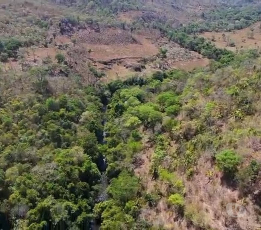 fazenda-a-oferta-171-hectares-povoado-sao-jose-goiascavalcante-oportunidade-unica-r-230000000-em-goiascavalcante-r-230000000-negociavel-big-1