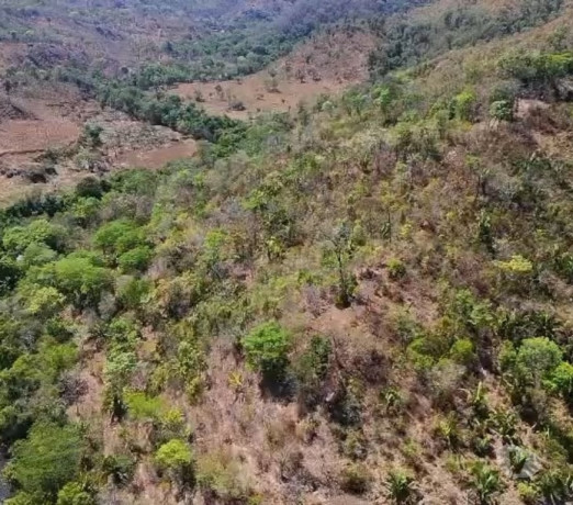 fazenda-a-oferta-171-hectares-povoado-sao-jose-goiascavalcante-oportunidade-unica-r-230000000-em-goiascavalcante-r-230000000-negociavel-big-0