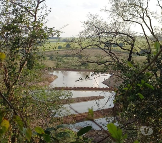 novidade-em-sao-paulo-localizacao-privilegiada-big-4