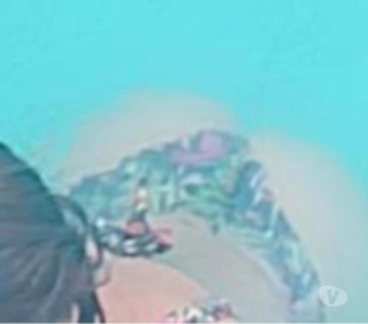 acompanhantes-altamira-pa-melhor-oferta-paraaltamira-em-paraaltamira-big-2