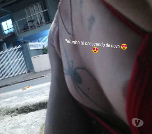 acompanhantes-garuva-sc-santa-catarinagaruva-oportunidade-unica-em-santa-catarinagaruva-big-1