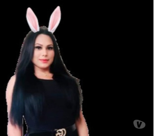 sophia-em-pirituba-sao-paulo-oportunidade-unica-big-2