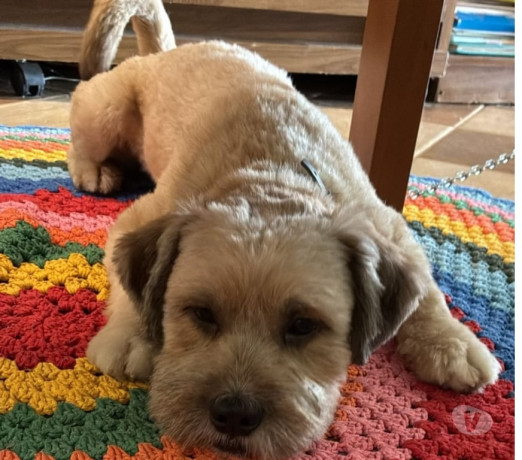 semi-novo-sao-paulo-otima-oportunidade-condicao-especial-big-1