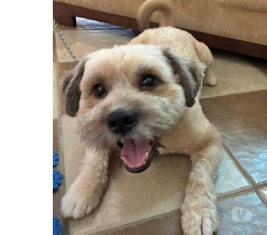 semi-novo-sao-paulo-otima-oportunidade-condicao-especial-big-0