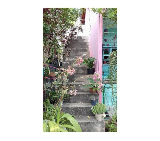 excelente-em-pernambucopaulista-otima-oportunidade-em-pernambucopaulista-condicao-especial-big-2