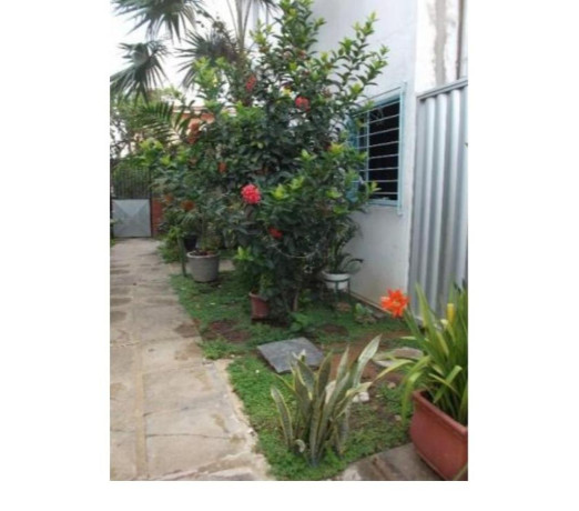 excelente-em-pernambucopaulista-otima-oportunidade-em-pernambucopaulista-condicao-especial-big-3