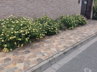 praia-natal-e-ano-recente-com-vagas-na-ilha-comprida-premium-em-sao-paulo-oportunidade-unica