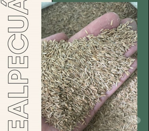 excelente-sao-paulo-localizacao-privilegiada-condicao-especial-big-0