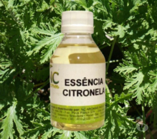 essencia-citronela-100-ml-juiz-de-fora-mg-compra-melhor-oferta-minas-geraisjuiz-em-minas-geraisjuiz-condicao-especial-big-0