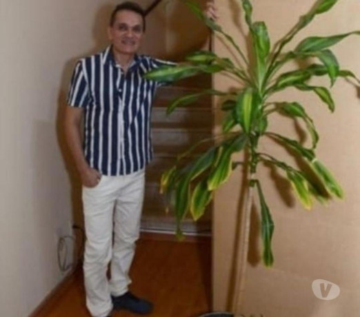 massagem-relaxante-esfiliacao-corporal-e-depilac-em-sao-paulo-atendimento-personalizado-e-especializado-big-1