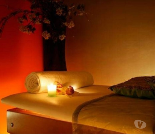 silvia-meier-massagens-meier-massagem-e-drenagem-rio-de-oportunidade-unica-big-1