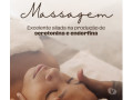 massoterapia-e-spa-cidade-industrial-de-curitiba-paranacuritiba-cidade-oportunidade-unica-r-15000-em-paranacuritiba-cidade-r-15000-small-1
